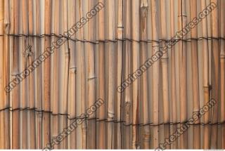 Wood 0041